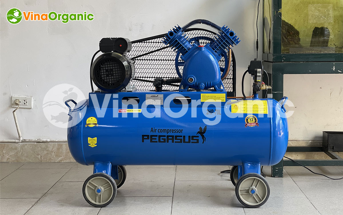 VinaOrganic cung cấp dây chuyển sản xuất sữa chua nếp cẩm năng suất 50L/mẻ, inox 304 tại, tiết kiệm điện. Hotline/zalo: 0938299798 - 0975299798