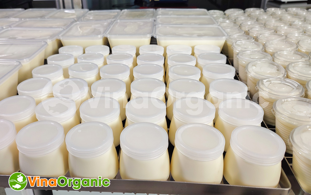 Máy ủ sữa chua 9 khay chất lượng cao của VinaOrganic. Năng suất phù hợp với qui mô sản xuất vừa và nhỏ. 0938299798 – 0975299798 - 0948299798