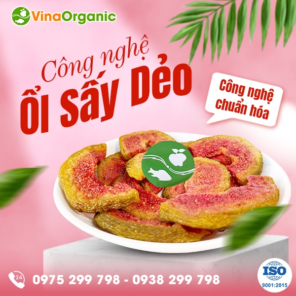 Chuyển giao công nghệ ổi sấy dẻo, trái cây sấy vì sức khỏe