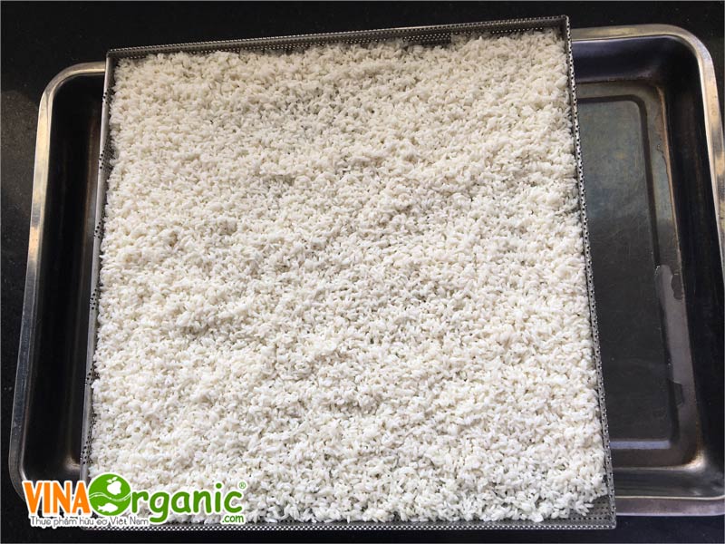 VinaOrganic chuyển giao công nghệ cơm cháy nước mắm và xôi chiên chất lượng cao. Hotline tư vấn 0938299798 - 0975299798 - 0948299798