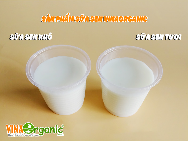 Sữa hạt sen là một trong những sản phẩm được yêu thích và tin dùng vì không những dồi dào dưỡng chất mà còn phù hợp với mọi lứa tuổi...