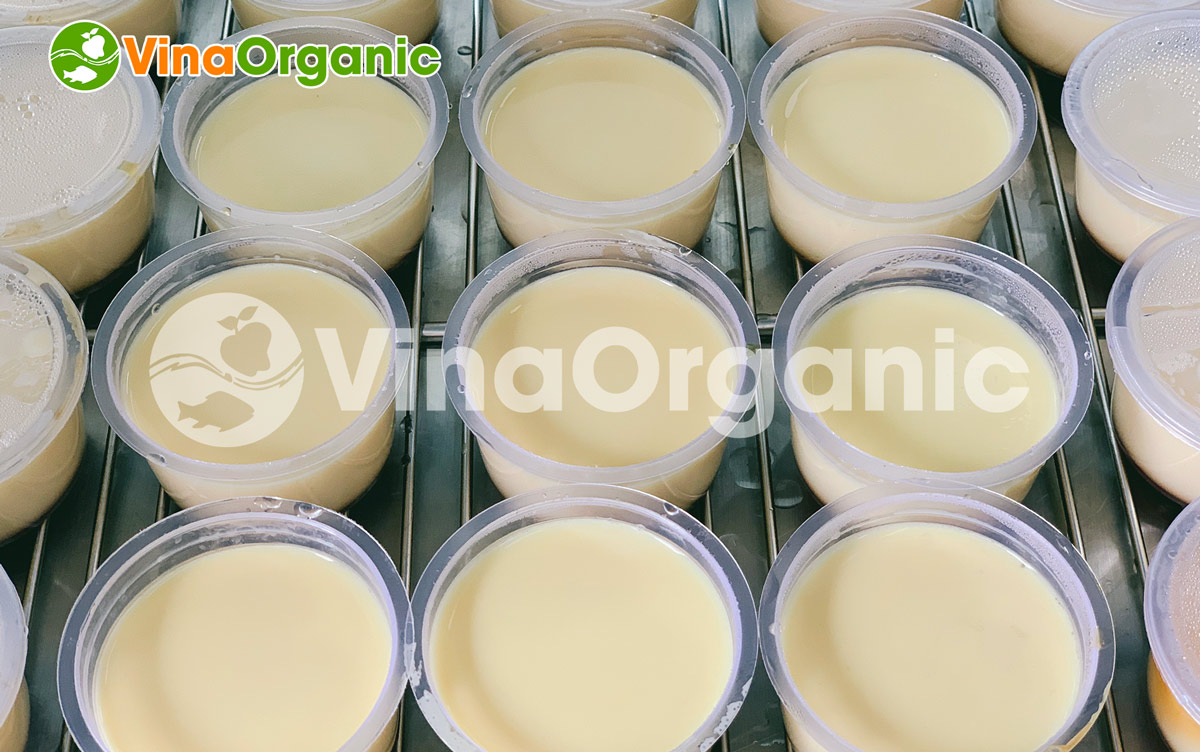 Máy hấp bánh flan, ủ sữa chua 12 khay của VinaOrganic với model HV012. Hotline /Zalo: 0938299798 – 0975299798 – 0948299798 – 0766299798