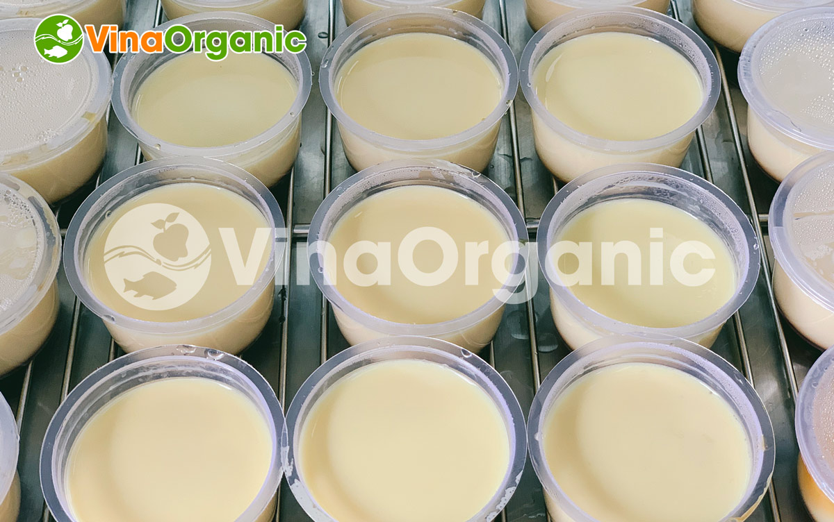 Máy hấp ủ đa năng 9 khay HV009 tại VinaOrganic được thiết kế đặc biệt tăng năng suất siêu tiện lợi, là người bạn đồng hành trong sản xuất.