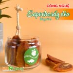 Sapoche say deo – chuyen giao cong nghe chat luong cao vinaorganic (2)