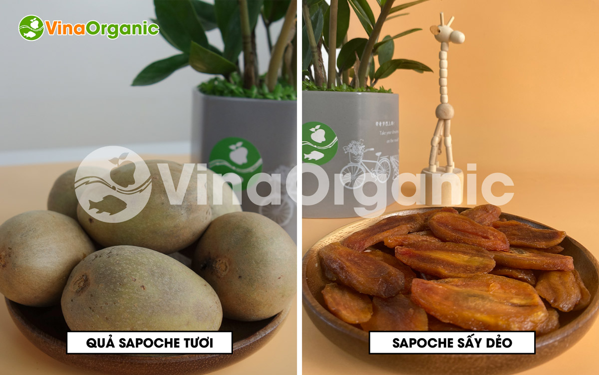 VinaOrganic cung cấp máy thiết bị và chuyển giao công nghệ sapoche sấy dẻo. Liên hệ ngay Hotline/Zalo: 0938299798 - 0975299798.
