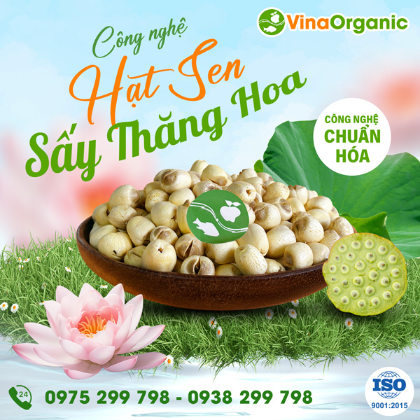 Hạt sen sấy thăng hoa - Công nghệ chế biến nông sản mới từ VinaOrganic