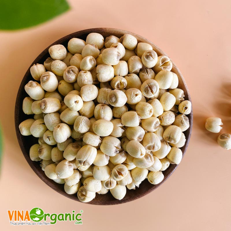 VinaOrganic chuyển giao công và máy thiết bị sản xuất nghệ hạt sen sấy thăng hoa. Hotline 0938299798 - 0975299798 - 0948299798 - 0766299798