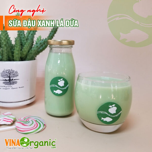 Sữa đậu xanh lá dứa tuyệt ngon - Chuyển giao công nghệ tại VinaOrganic