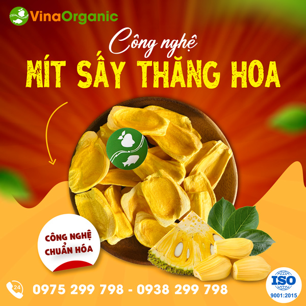 Mít sấy thăng hoa - Công nghệ sản phẩm mới tại VinaOrganic