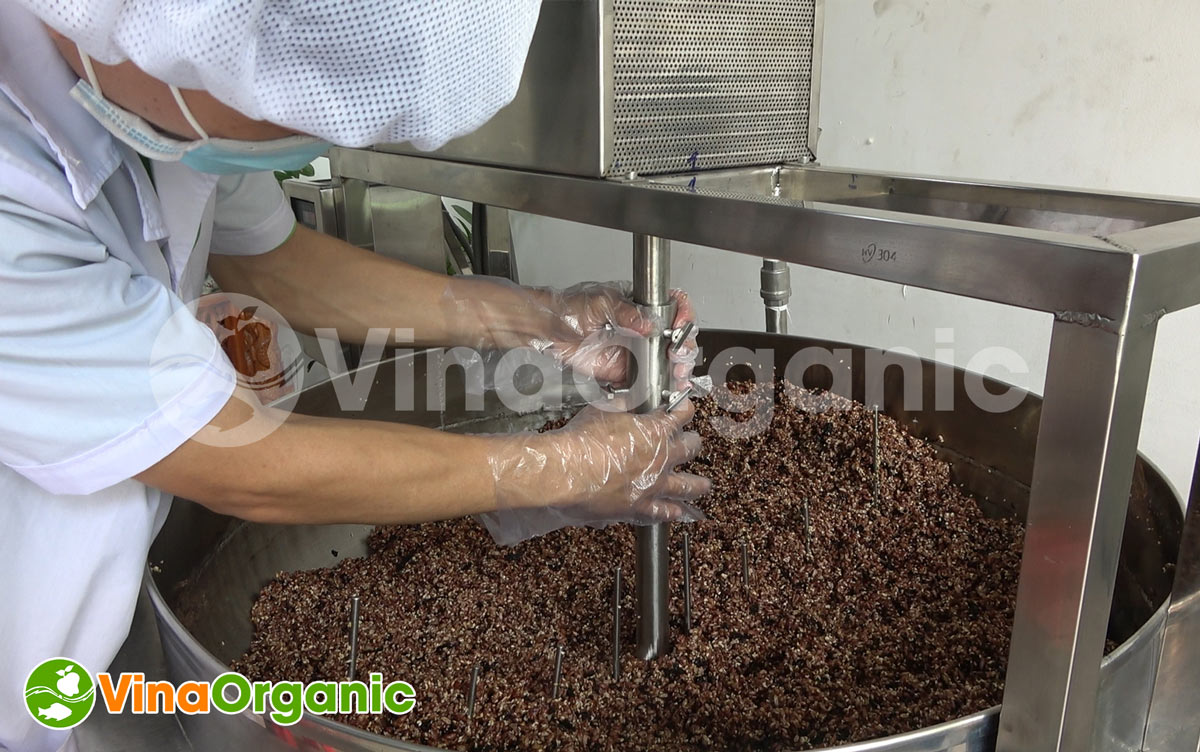 Máy nấu phối trộn 10kg chuyên sản phẩm thành ngũ cốc, thanh cốm gạo lứt, năng suất 10kg/mẻ của VinaOrganic. Hotline/Zalo: 0938299798 – 0975299798