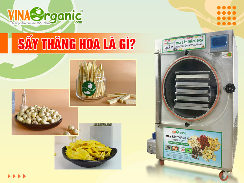 Sấy thăng hoa là gì? Ưu và nhược điểm của phương pháp sấy thăng hoa?