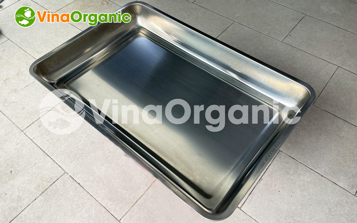 TC006 - Máy nấu cơm 6 khay, hấp cơm, bánh bao chín đều, inox 304 không gỉ, tùy chỉnh nhiệt. Liên hệ Hotline/Zalo: 0975.299798 – 0938.299798 để được tư vấn!