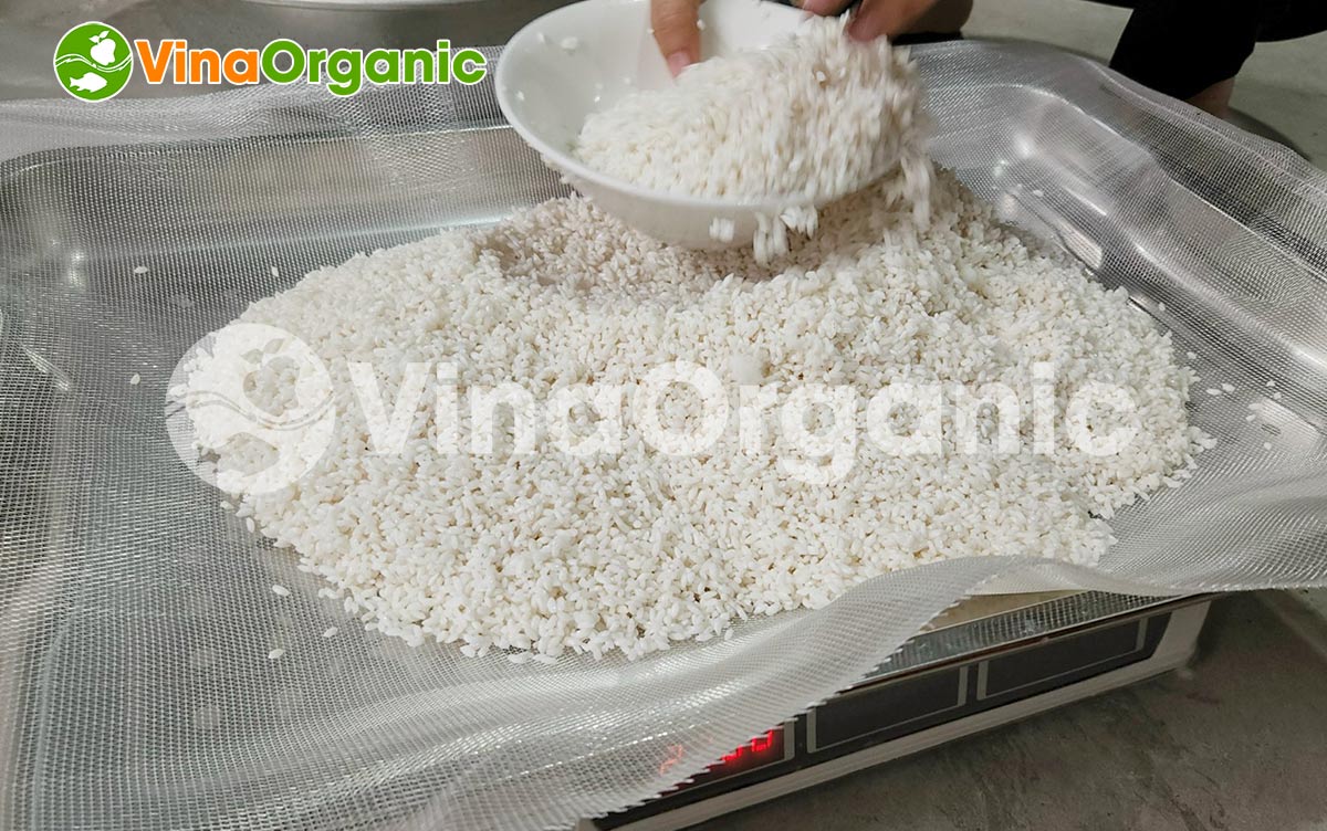 VinaOrganic cung cấp máy thiết bị và chuyển giao công nghê sản xuất cơm cháy chà bông cho người khởi nghiệp. Liên hệ: 0938299798 - 0975299798