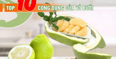 Thế nên, vỏ bưởi rất tốt cho sức khỏe cơ thể của chúng ta. Hãy cùng VinaOrganic tìm hiểu công dụng của vỏ bưởi qua bài viết sau nhé!