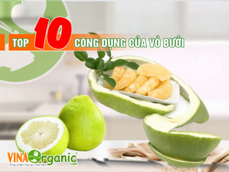 Thế nên, vỏ bưởi rất tốt cho sức khỏe cơ thể của chúng ta. Hãy cùng VinaOrganic tìm hiểu công dụng của vỏ bưởi qua bài viết sau nhé!