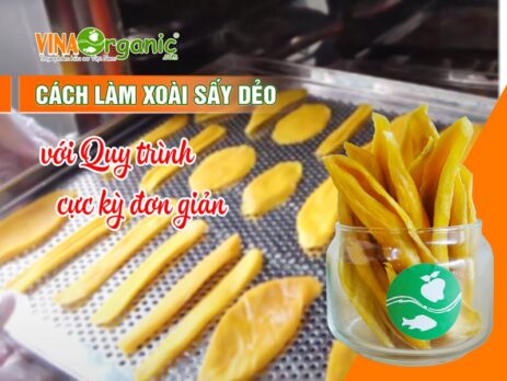 Công nghệ sản xuất xoài sấy dẻo đang được VinaOrganic chuyển giao nhiều khách hàng. Cùng xem cách làm xoài sấy dẻo với quy trình sản xuất...