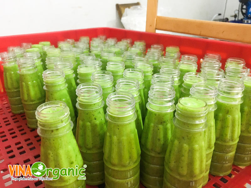 VinaOrganic chuyển giao công nghệ sản xuất muối ớt xanh chất lượng cao. Hotline 0938299798 - 0975299798 - 0948299798 - 0766299798