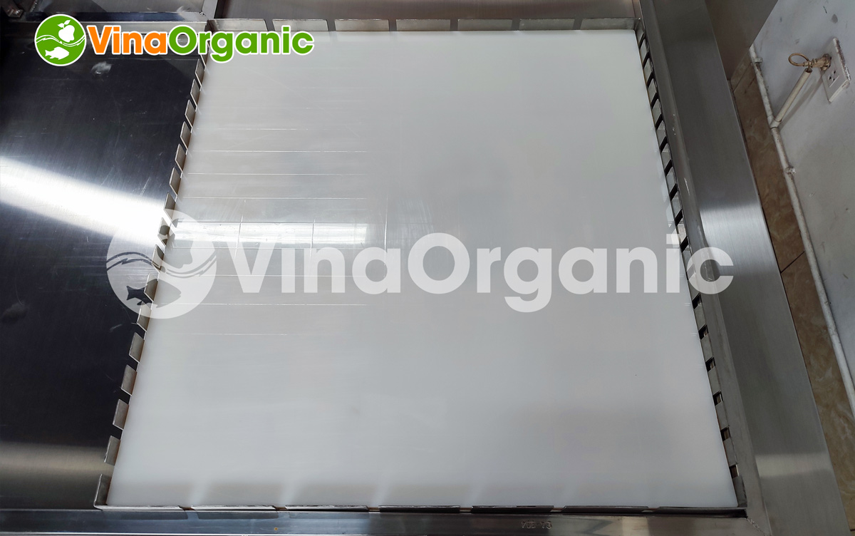 VinaOrganic cung cấp máy cắt kẹo MCK34-11 (mâm cắt 30x40cm), năng suất cao, chất lượng cao. LH Hotline/Zalo: 0938299798 - 0975299798 để được tư vấn!