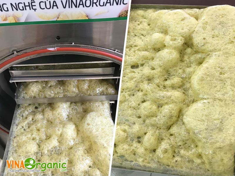 VinaOrganic vừa bàn giao máy sấy thăng hoa 5kg. Cùng nhìn hình ảnh bàn giao máy sấy thăng hoa 5kg cũng như tìm hiểu về cấu tạo máy nhé...