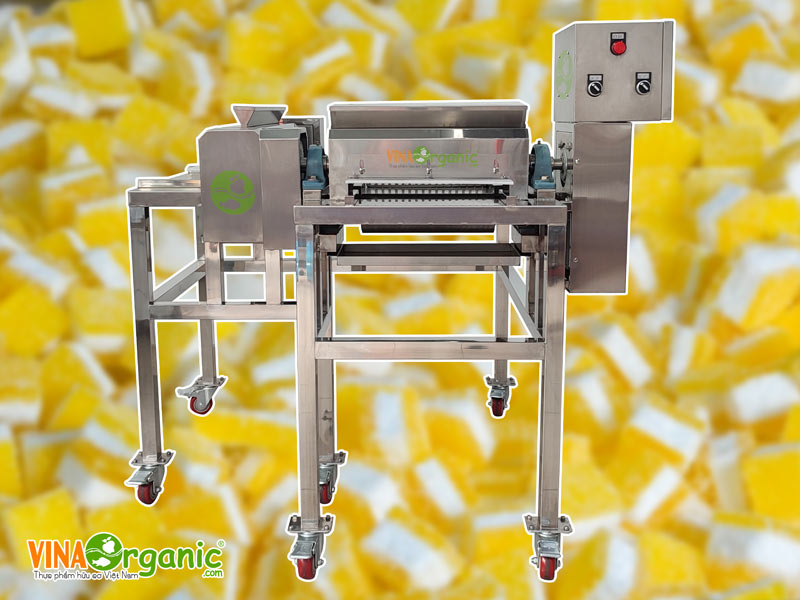 Thiết bị sản xuất kẹo dẻo năng suất cao và quy trình được tối ưu dễ dàng tiếp cận và bắt đầu sản xuất ngay được.