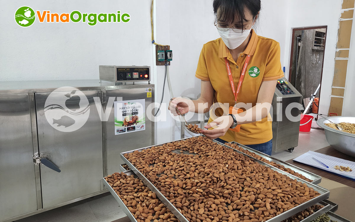 áy sấy giòn ngũ cốc 6 khay MSC0646, sấy chín hạt điều, cốm gạo, granola,... mà không cần chiên qua dầu. LH: 0938.299798 - 0975.299798