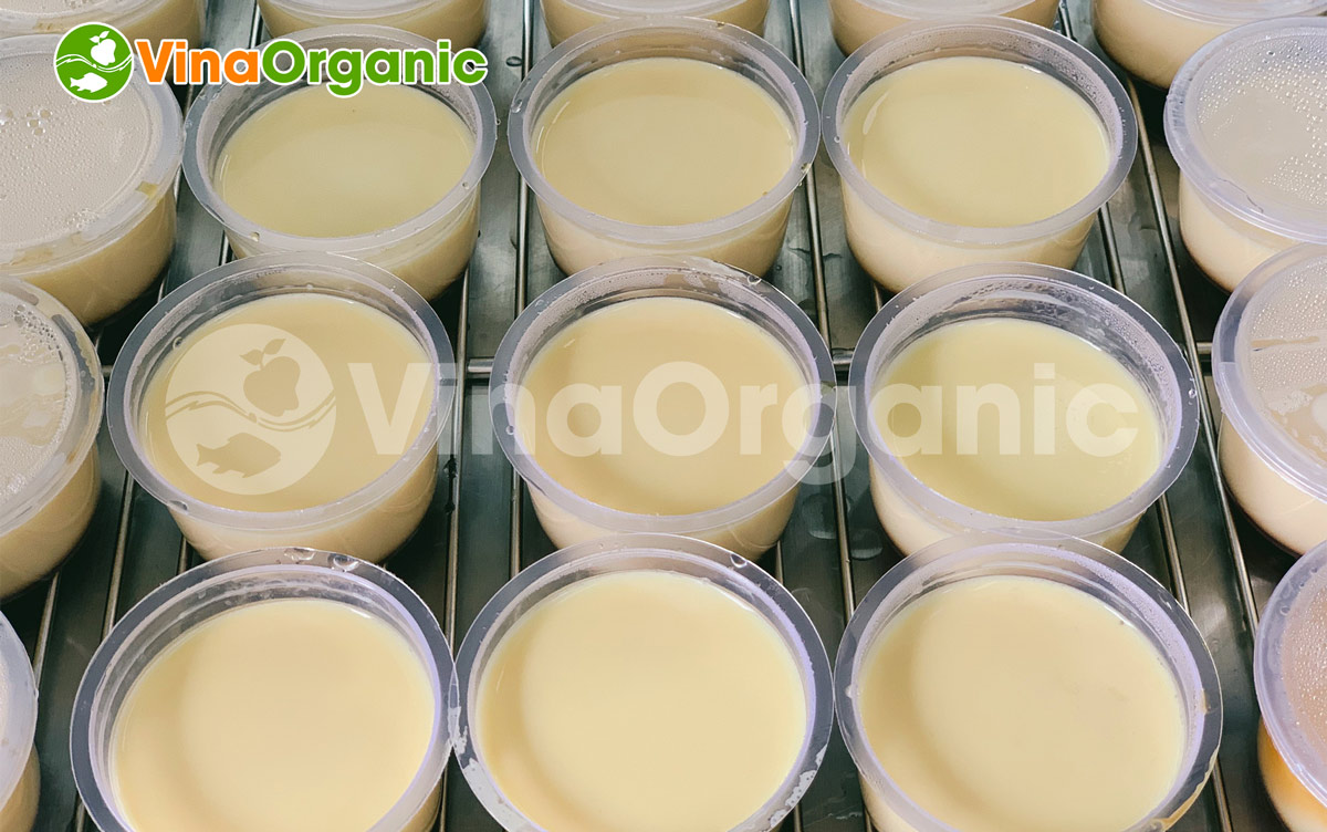 VinaOrganic đã nghiên cứu công nghệ bánh flan đạt tiêu chuẩn, công nghệ sản phẩm đã và đang được VinaOrganic chuyển giao trên toàn quốc.