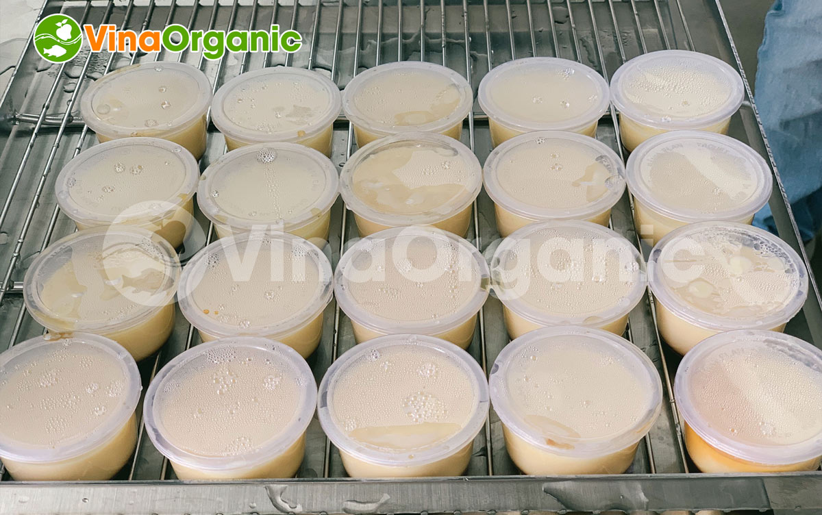 Bánh flan sau khi chín đều, đẹp như vậy...