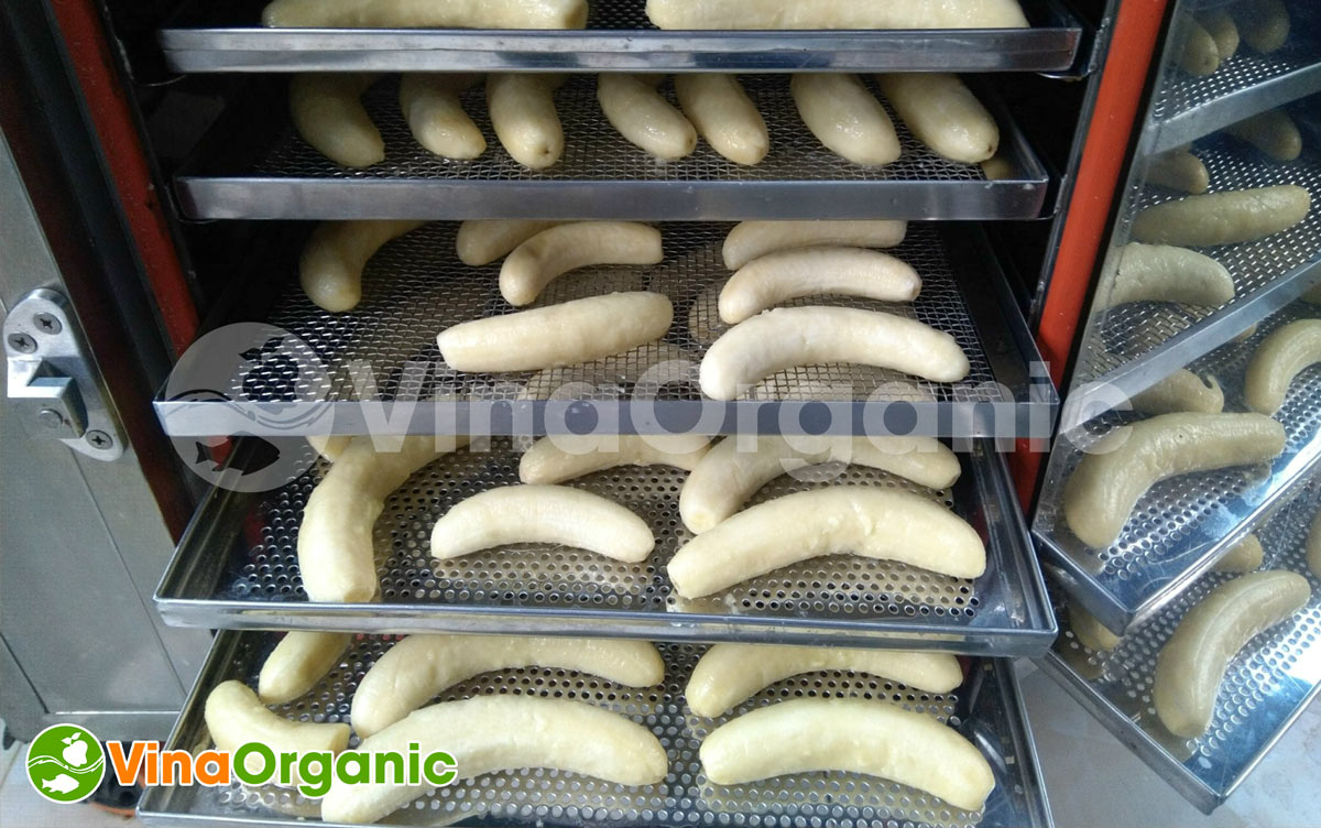VinaOrganic đã tiến hành làm mẫu chuối sấy dẻo cho khách hàng. Cùng với quy trình sản xuất rõ ràng và đảm bảo các tiêu chí chất lượng.