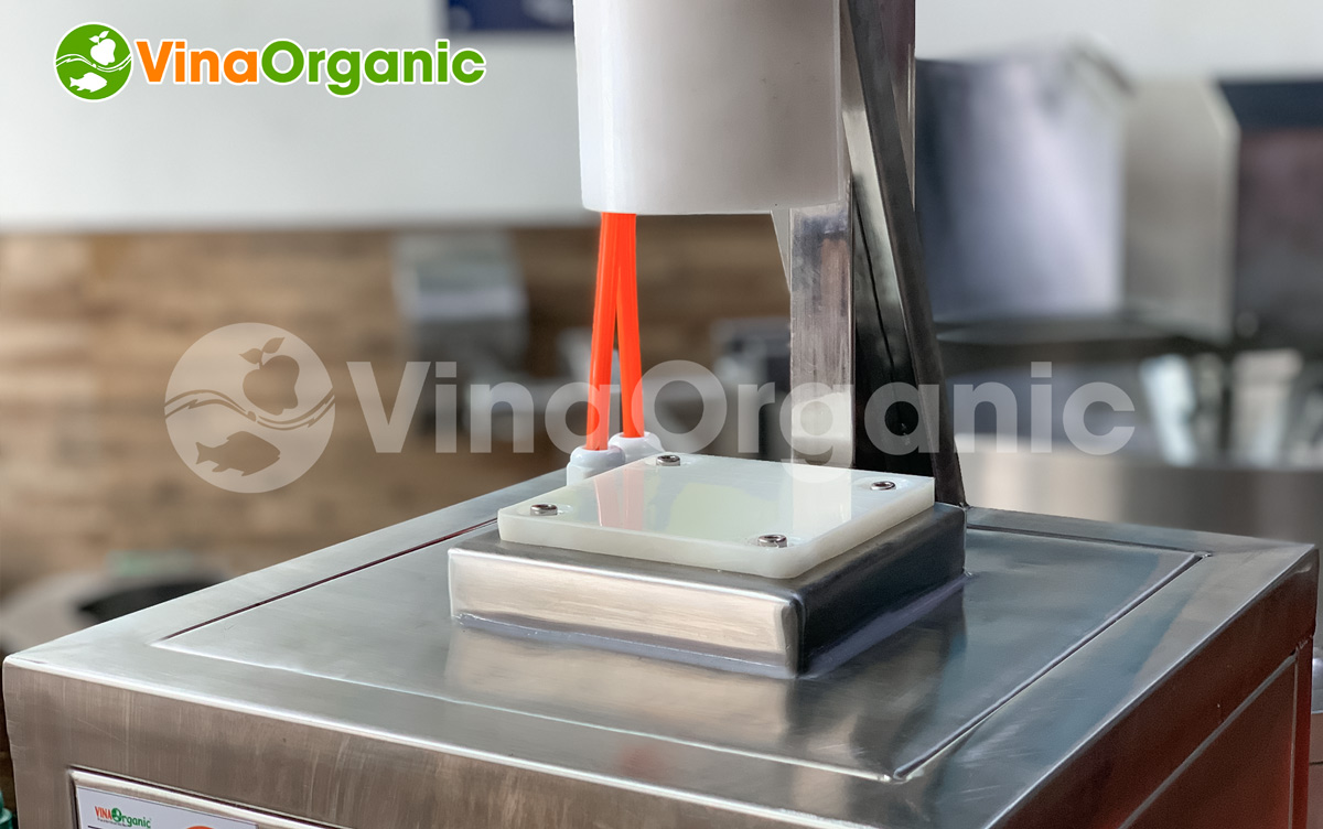 VinaOrganic xin giới thiệu đến bạn Máy ép xôi chiên siêu nhanh, siêu hiệu quả. Giúp tiết kiệm thời gian, công sức và miếng xôi sau khi ép đồng đều, đẹp