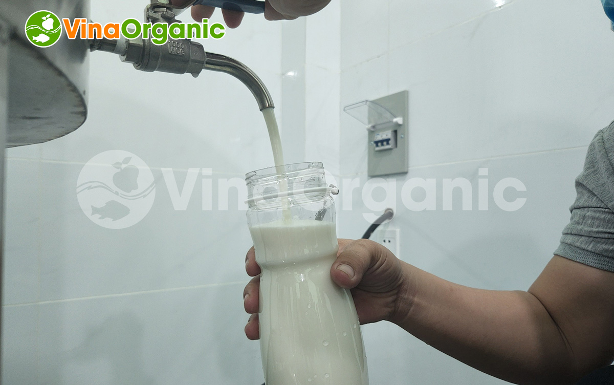 Bạn đang tìm kiếm dây chuyền sản xuất sữa dê thanh trùng năng suất cao? Hãy cùng VinaOrganic tìm hiểu trong bài viết này nhé!