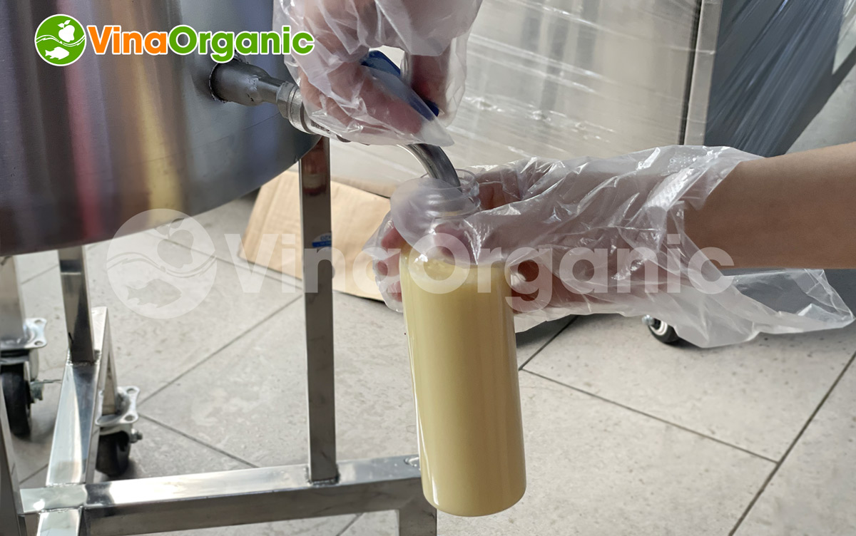 VinaOrganic sẽ giới thiệu Dây chuyền sản xuất sữa bắp thanh trùng. Hãy cùng tìm hiểu về quy trình sản xuất sữa bắp và máy thiết bị