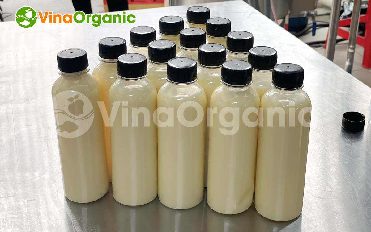 VinaOrganic cung cấp dây chuyền sản xuất sữa bắp 50L thanh trùng chất lượng cao, không tách lớp. Liên hệ Hotline: 0975299798 - 0938299798.