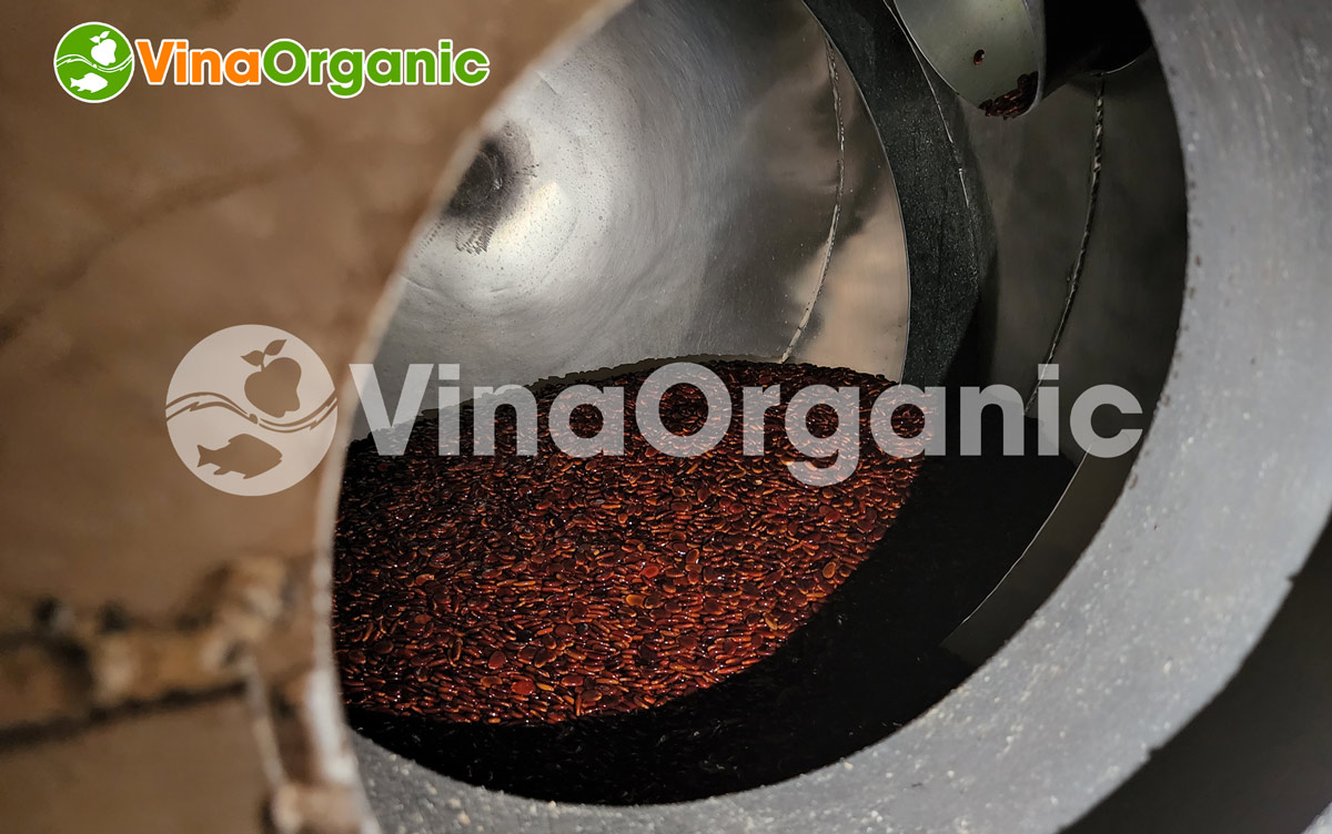 Cùng tìm hiểu về công nghệ hạt dưa, hạt bí rang của VinaOrganic vừa được chuyển giao thành công tại Cà Mau trong dịp cận tết này nhé