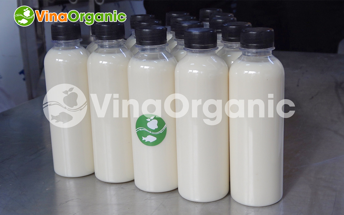 VinaOrganic cung cấp dây chuyền sản xuất sữa đậu nành 50L thanh trùng chất lượng cao, không tách lớp. Liên hệ Hotline: 0975299798 - 0938299798.