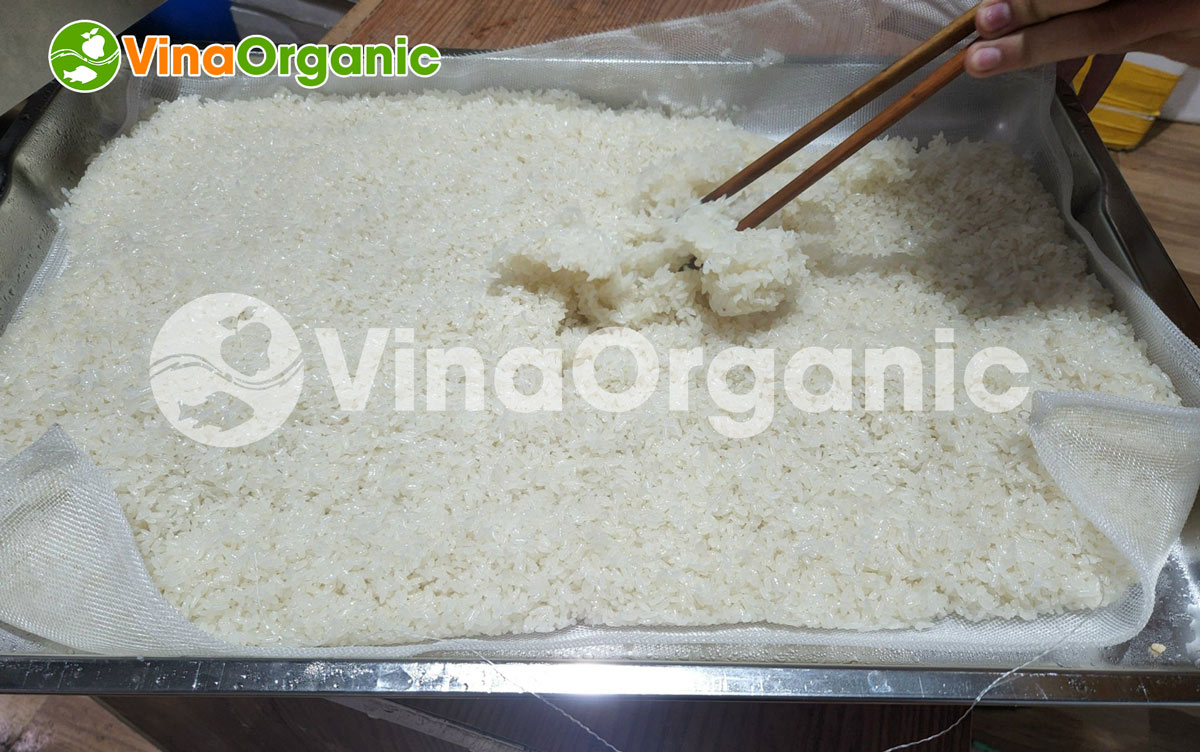 Cơm cháy nước mắm là sản phẩm ăn vặt rất phổ biến. Hãy liên hệ VinaOrganic để được tư vấn về công nghệ và máy thiết bị sản xuất cơm cháy nhé!