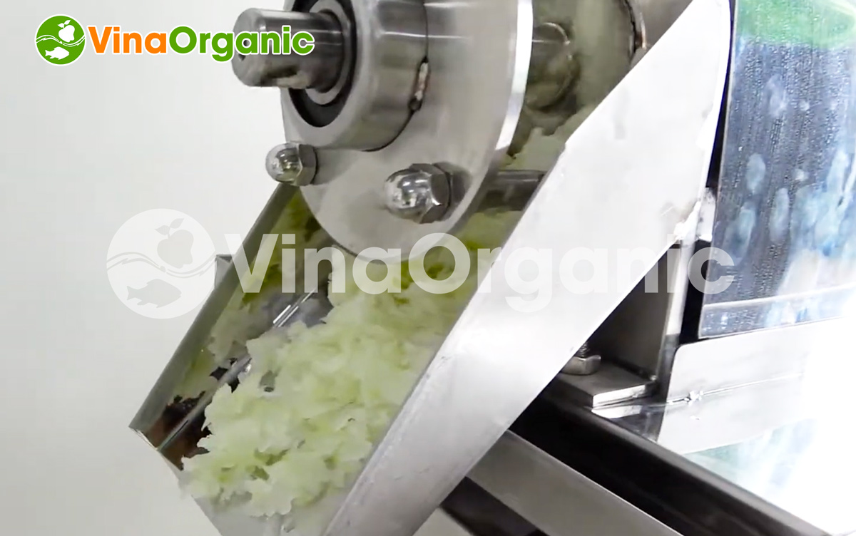 VinaOrganic chuyên cung cấp máy ép nước cốt bí đao năng suất vượt trội, mẫu mã, thiết kế hiện đại, hiệu suất thu hồi cao. LH: 0938299798 - 0975299798