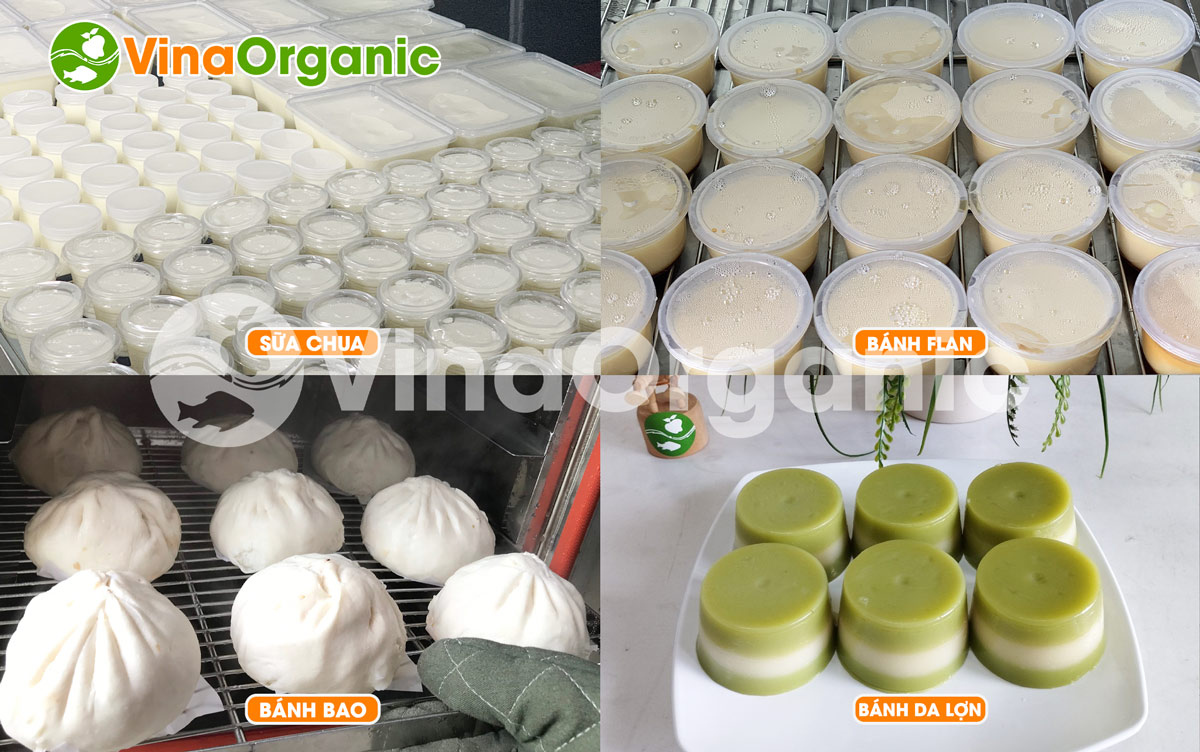 Máy hấp ủ đa năng 9 khay HV009 tại VinaOrganic được thiết kế đặc biệt tăng năng suất siêu tiện lợi, là người bạn đồng hành trong sản xuất.