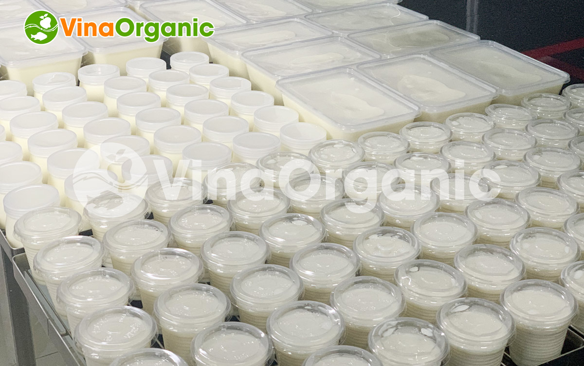 Máy ủ sữa chua VYogurt 9 khay VY009 vận hành dễ dàng, năng suất cao, điện năng tiêu thụ thấp. Hotline/Zalo: 0938299798 – 0975299798
