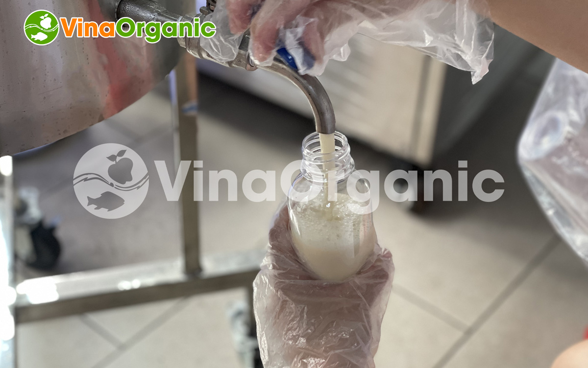 VinaOrganic chuyên cung cấp thiết bị làm lạnh nhanh với chất lượng cao. Máy được làm từ inox 304, làm lạnh cực nhanh. Hotline liên hệ 0975299798 –0938299798