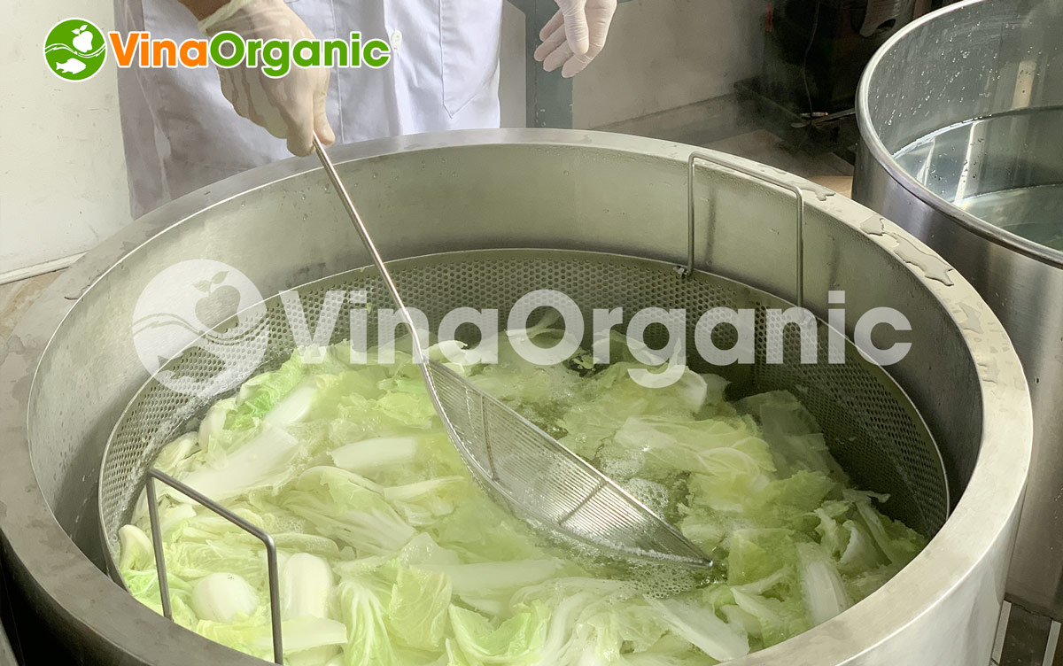 VinaOrganic giới thiệu máy chần,luộc 20L dạng tròn chất lượng cao. Máy toàn bộ inox 304, thích hợp với nhiều quy trình chế biến sản phẩm thực phẩm