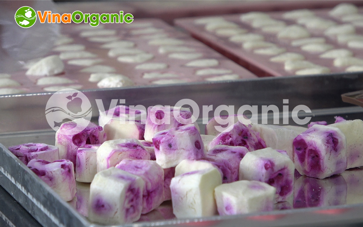 VinaOrganic chuyển giao công nghệ Sữa chua sấy thăng hoa giữ dáng đẹp da. Liên hệ ngay Hotline/Zalo: 0938299798 – 0975299798.