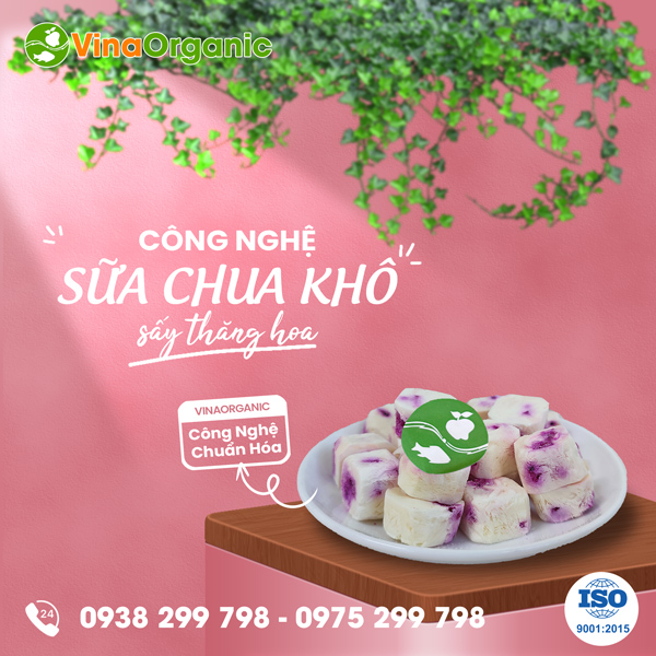Chuyển giao công nghệ Sữa chua sấy thăng hoa giữ dáng đẹp da