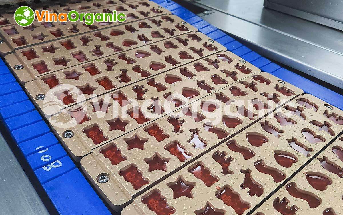 VinaOrganic cung cấp dây chuyền sản xuất kẹo dẻo hình thú, inox 304, đơn giản, dễ vận hành. Hotline/zalo: 0938299798 - 0975299798
