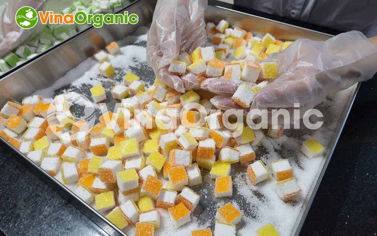VinaOrganic cung cấp dây chuyền sản xuất kẹo dẻo hương trái cây 3 lớp, inox 304, năng suất cao. Hotline/zalo: 0938299798 - 0975299798