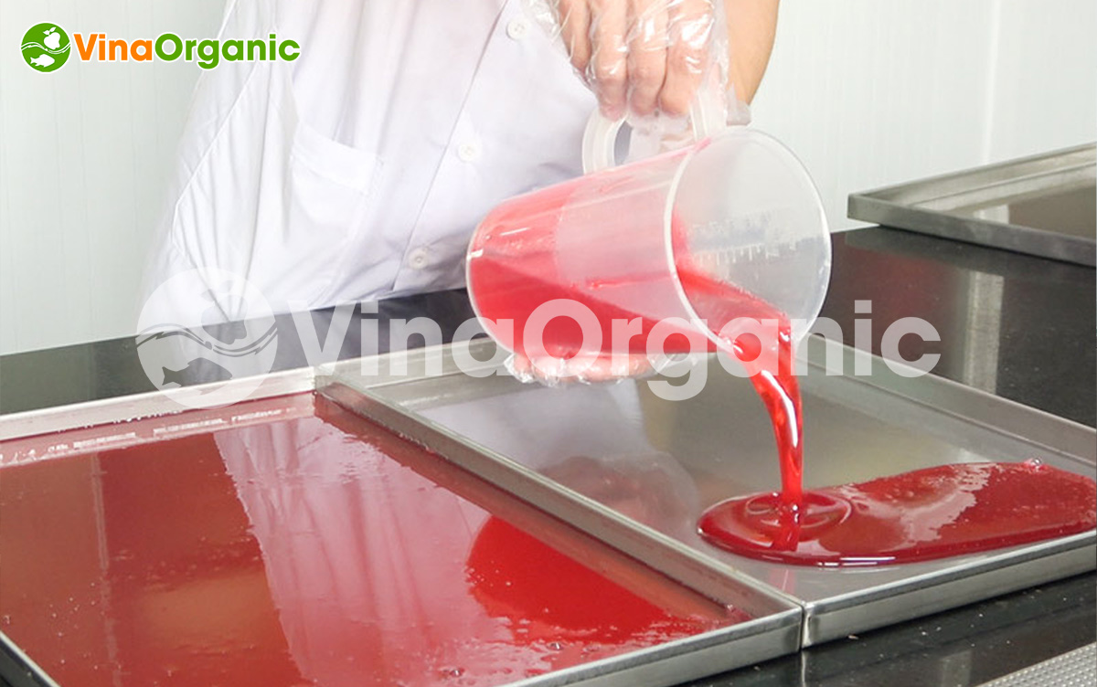 VinaOrganic cung cấp dây chuyền sản xuất kẹo dẻo hương trái cây, inox 304, năng suất cao. Hotline/zalo: 0938299798 - 0975299798
