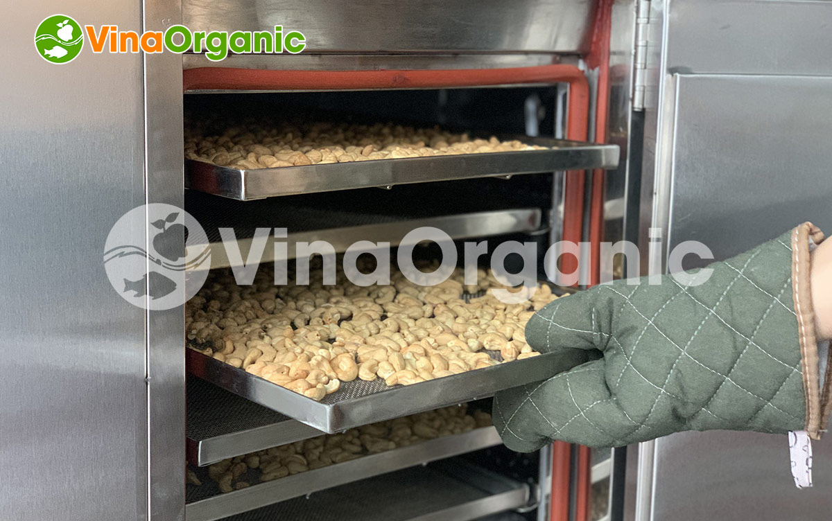 VinaOrganic cung cấp dây chuyền sản xuất Granola ngũ cốc, inox 304, năng suất cao. tiết kiệm chi phí. Hotline/zalo: 0938299798 - 0975299798
