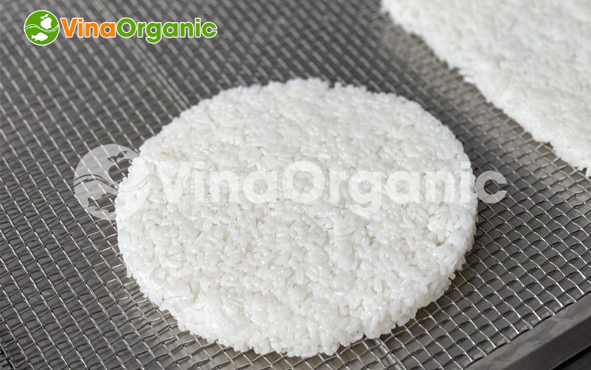 VinaOrganic cung cấp khuôn ép cơm cháy chà bông, khuôn ép cơm cháy dạng tròn, inox 304, phủ chống dính tại TP.HCM. Hotline 0938299798 - 0975299798