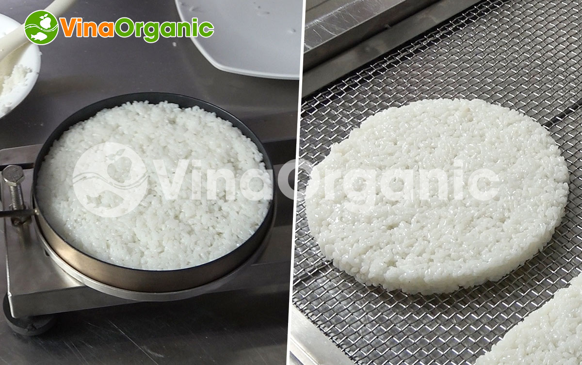 VinaOrganic cung cấp khuôn ép cơm cháy chà bông, khuôn ép cơm cháy dạng tròn, inox 304, phủ chống dính tại TP.HCM. Hotline 0938299798 - 0975299798