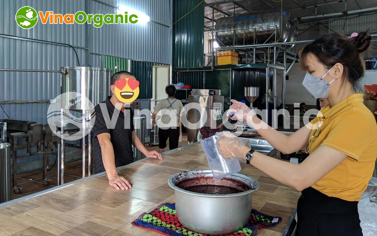 VinaOrganic cung cấp dịch vụ lắp đặt và chuyển giao công nghệ sữa chua nếp cẩm chất lượng. Liên hệ 0938299798 - 0975299798 để được tư vấn!