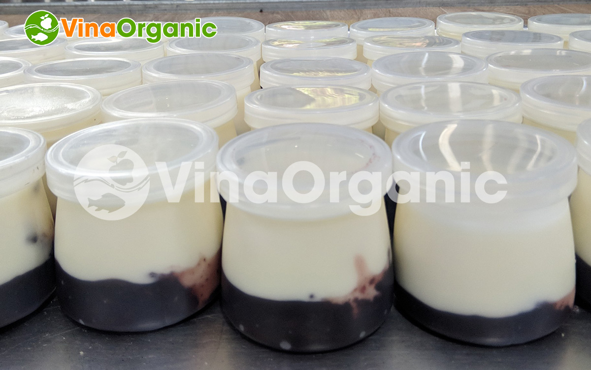 VinaOrganic cung cấp dịch vụ lắp đặt và chuyển giao công nghệ sữa chua nếp cẩm chất lượng. Liên hệ 0938299798 - 0975299798 để được tư vấn!